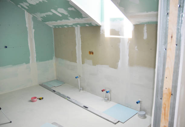 Best Emergency Mold Remediation  in Salina, UT