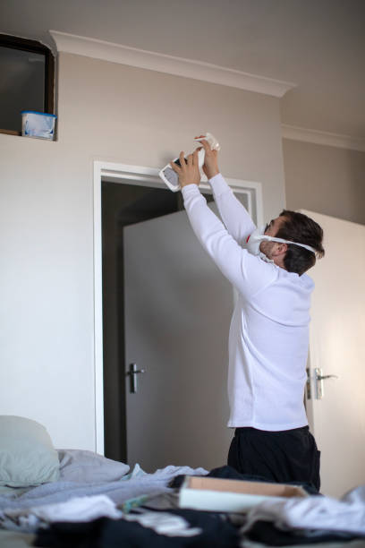 Best Mold Documentation for Insurance Claims  in Salina, UT