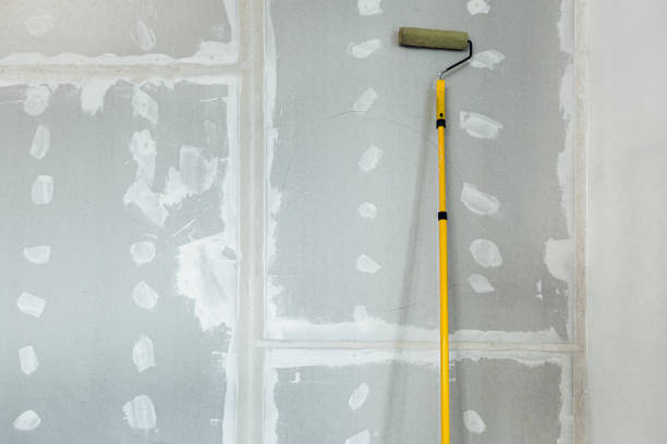 Best Mold Remediation for Rental Properties  in Salina, UT