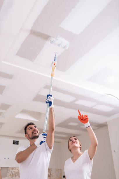 Best Industrial Mold Remediation  in Salina, UT