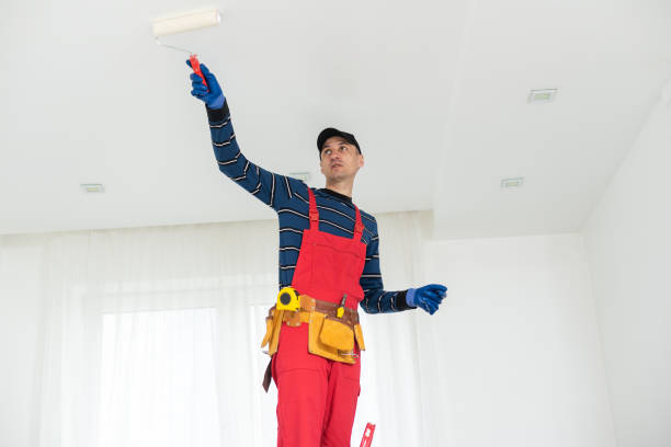  Salina, UT Mold Removal Pros