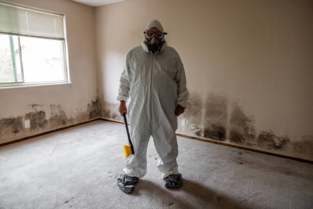 Best Crawl Space Mold Remediation  in Salina, UT