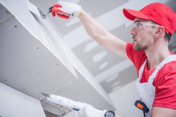Best Mold Remediation for Healthcare Facilities  in Salina, UT